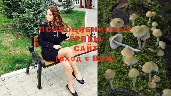 PSILOCYBIN Абинск