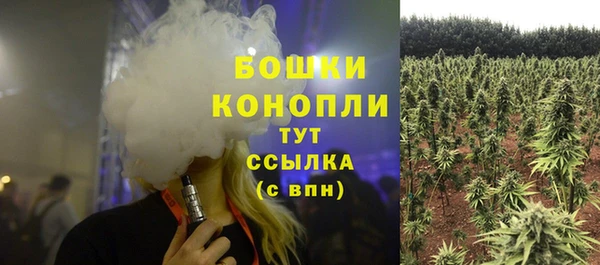 PSILOCYBIN Абинск