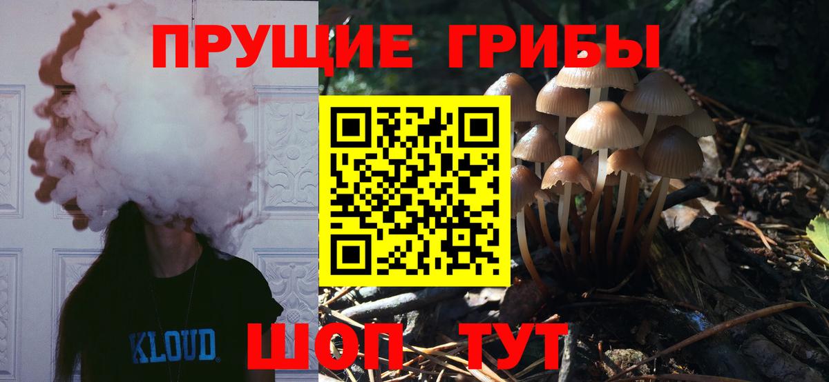Тутаев  Галлюциногенные грибы мицелий  Вход с VPN 