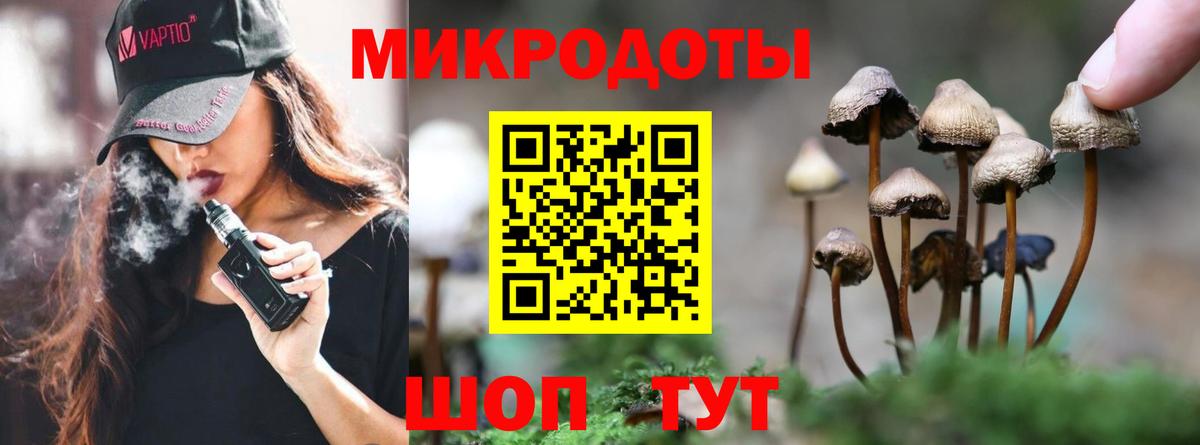 Псилоцибиновые грибы мухоморы Тутаев