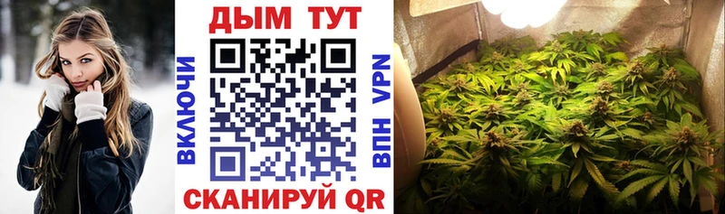купить наркоту  Тутаев  МАРИХУАНА план 